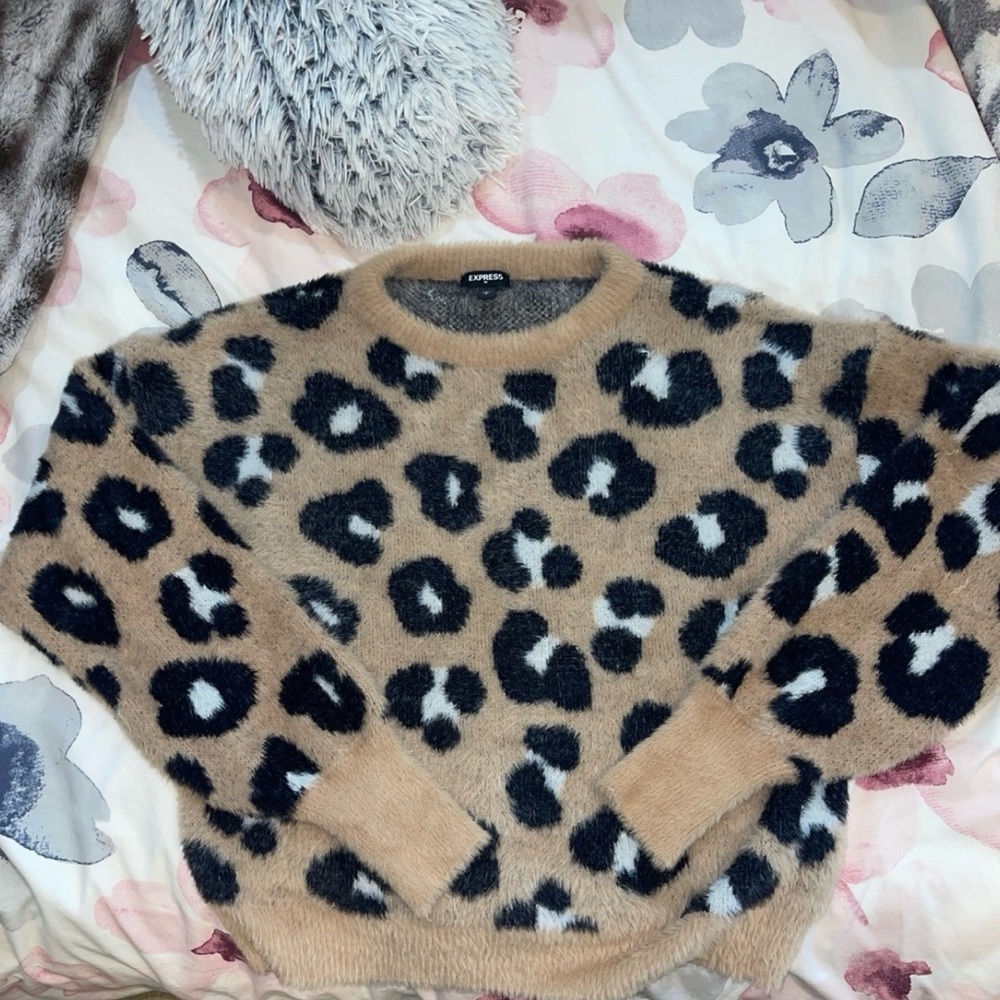 Express sweater
